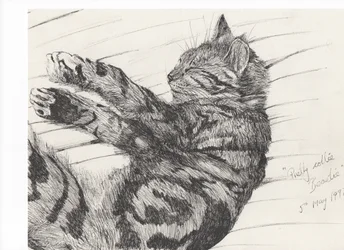 Hübsches Collie-Biest, 1997